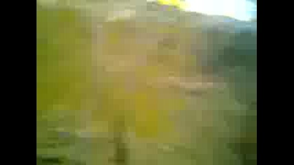 petkopng 