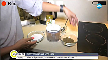 ЕКСТРЕМНО ОТ КУХНЯТА: Кремена, която се храни с насекоми