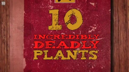 10 Incredibly Deadly Plants