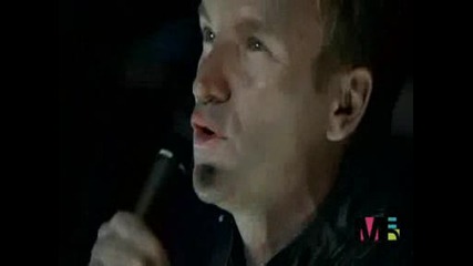 Sting - Desert Rose