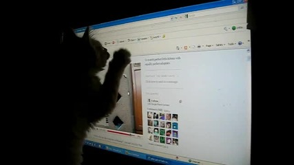 Сладко котенце си играе с монитор ... :)