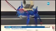 КАТО МРАВКИТЕ: Минироботи теглят кола