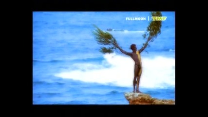 T - Spoon - Sex on the beach ( H Q )