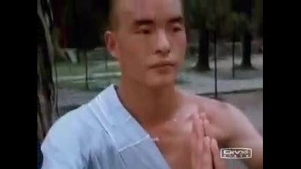 totally realistic shaolin kung fu fighting