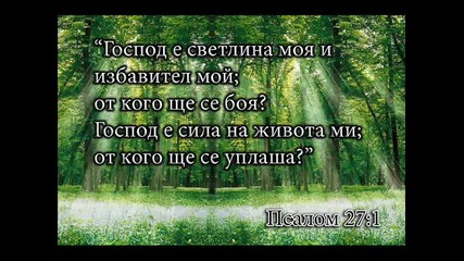 Stoil-piren pravo
