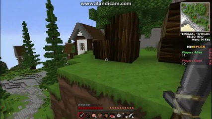 Hunger games in mineplex