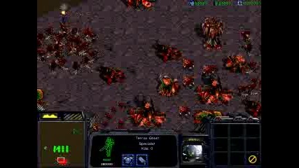 Starcraft - На Тоя Зерг Не Му Завиждам