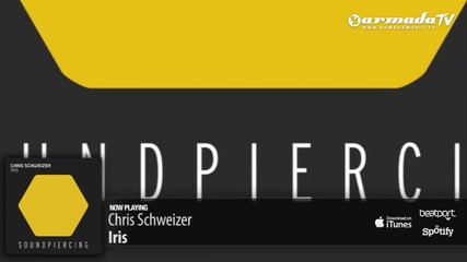 Chris Schweizer - Iris @ Original Mix @
