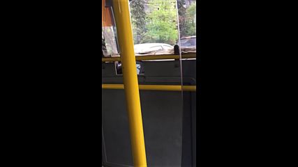 Тютюнопушене в автобус 204 / гр. София