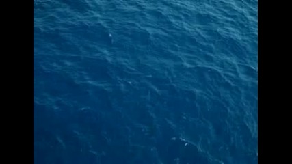 Морски чудовища 