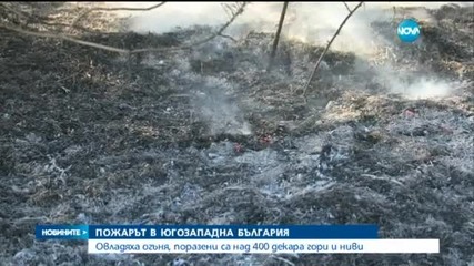 Овладяха горския пожар край Фролош