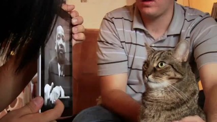 Котка Расист