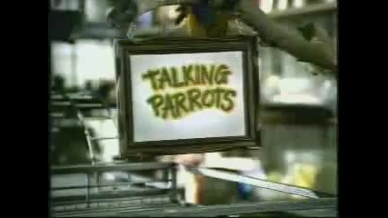 разговарящи папагали 