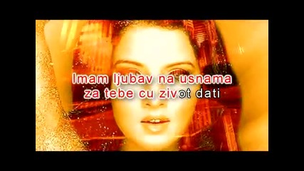 Ljuba Alicic - Ciganin sam al najlepsi ( vdj boris) karaoke