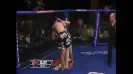Mma Knockouts 2010