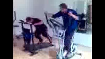Fitnes Golqm Smqh