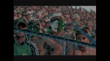 Panathinaikos Gate 13 Acab