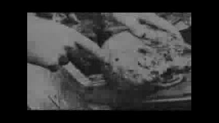 Katyn Massacre Execution Of Polish Officers