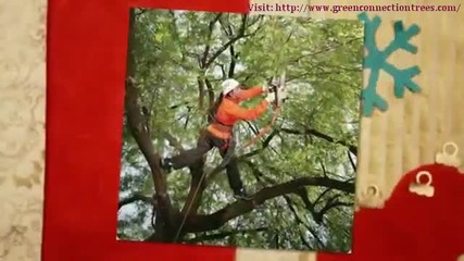 Your Tree Service Green Connection 2