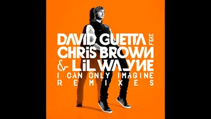 David Guetta ft. Chris Brown Lil Wayne - I Can Only Imagine