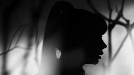 +превод!2ne1 - Goodbye M_v