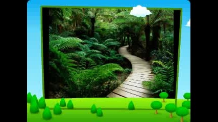 Tomx - Nature 2010