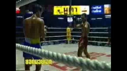 Muay Thai Идиотщита