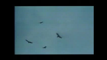 Boney M - Rivers Of Babylon [official Music Video]