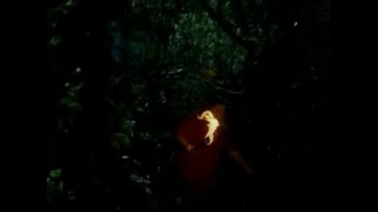 Lost - Season 4, Ep.1 Sneak Peek 3