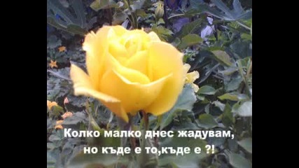 Колко малко 