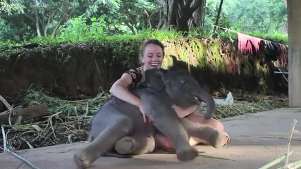 Слонче на две седмици прегръща момиче