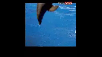 Adiemus - Adiemus