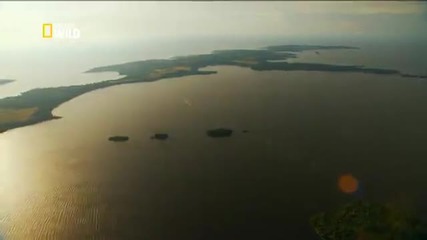 Nat Geo Wild -ивият Нил Намереният рай