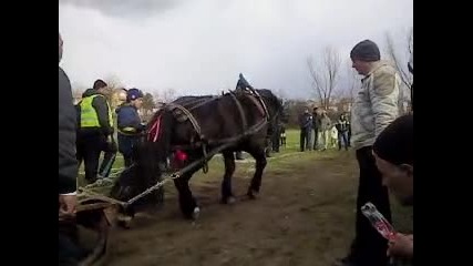 Ридъл - Стрелча 16.03.2013.