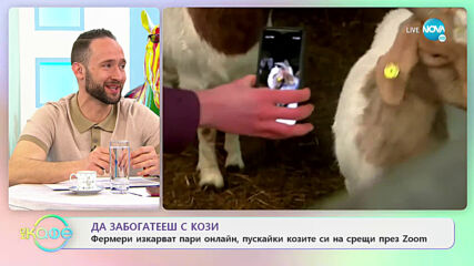 Днес е световният ден на голдън ретрийвъра! - На кафе (03.02.2021)