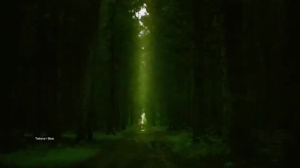Let Me Be The Light ...
