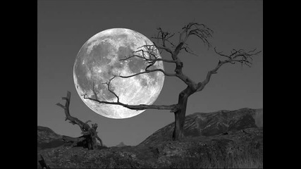 chris rea - just wanna be with you - www.uget.in