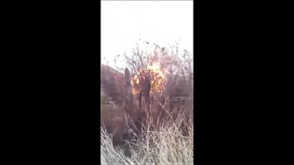 Пожар край Карнобат - с. Козаре