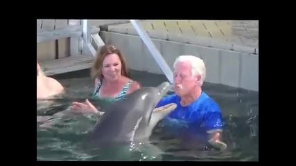 Съперничество с делфин
