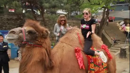 Avril Lavigne - Camel Toes - Аврил се вози на камила