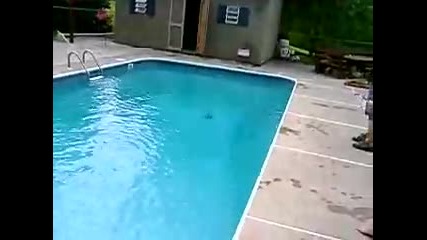 Бомба в басейн 