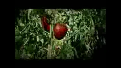 Igi Androvski, Pesho Malkia Dim4ou - Statusa (official Video 2012) - www.uget.in