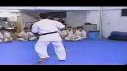 Kyokushin vs. Kung - fu
