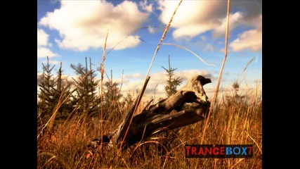 Temple One feat Hannah Ray - Autumn Leaves