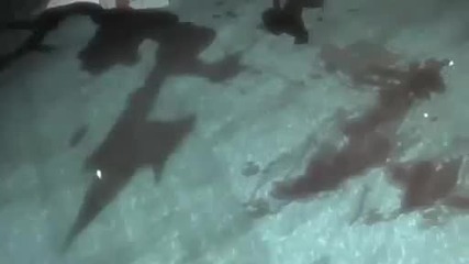 High School of the Dead - 6 [ bg sub ]