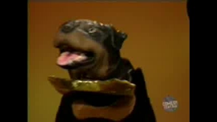 Triumph - Rob Reiner Roast