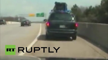 USA: Police seize puppies dangerously attached to car roof