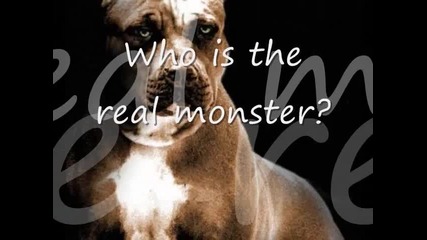 Who is the real monster_