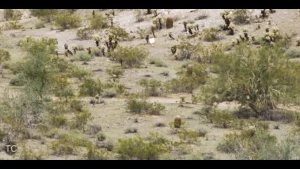 M16 M4 50 Bmg Ar15 Snipers Shooting 