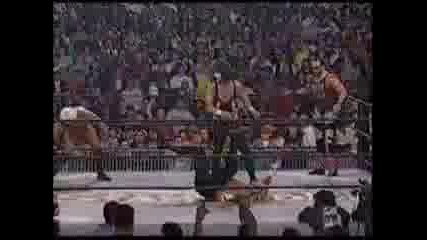 Sting Tribute